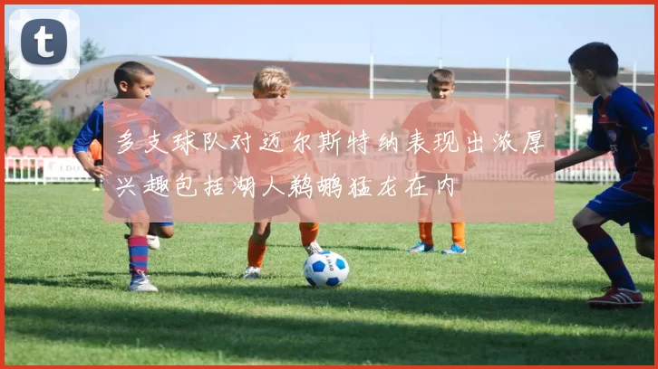 多支球队对迈尔斯特纳表现出浓厚兴趣包括湖人鹈鹕猛龙在内